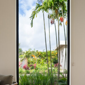 MG Marketing - LuxView - Photography - Playa Grande Bedroom with Palm tree